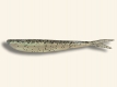 Fin-S Fish
