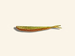 Fin-S Fish 4