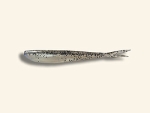 Fin-S Fish 5