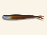 Fin-S Fish 7