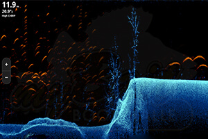 Screenshot eines DownScan Sonars Screenshot eines DownScan Sonars