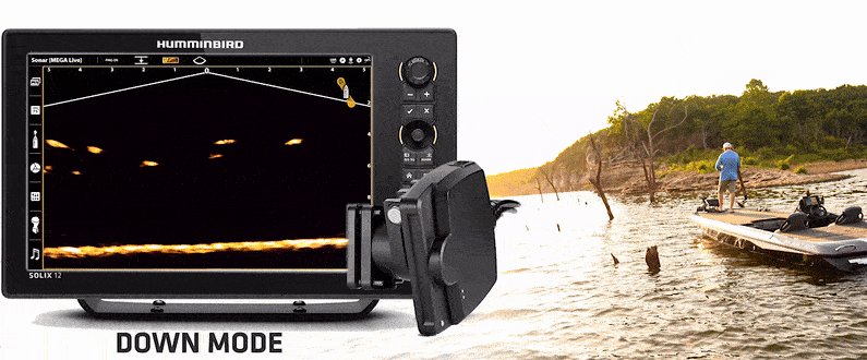 Mit einem Live-Sonar siehst du in Echtzeit, was sich vor oder unter deinem Boot abspielt.
