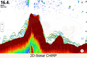 Screenshot eines tradinonellen 2D-Sonars CHIRP