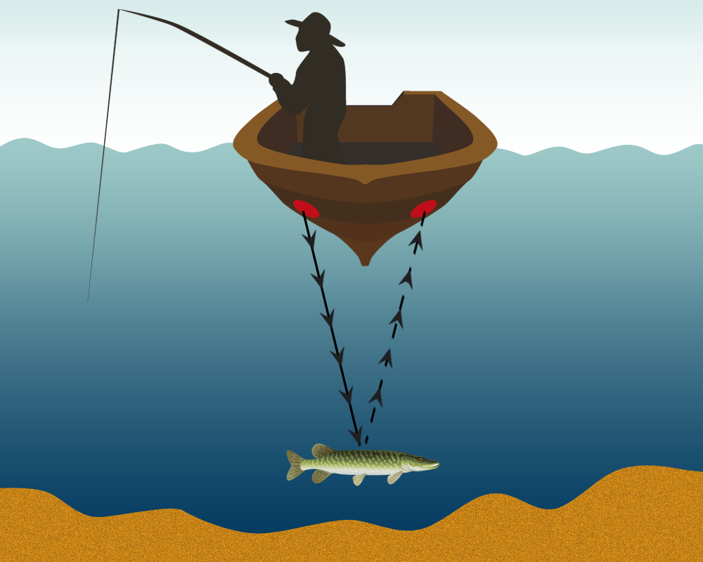 Echolote und Fischfinder erklärt