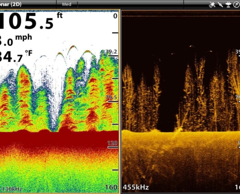 Fischicheln auf Echolot und Fischfinder