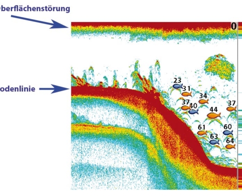 Oberflächenstörung auf Echolot und Fischfinder