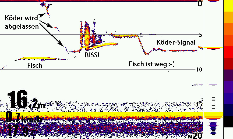 FANG-ERFOLG: Pelagisch angeln - Angelkajak, Boot & Bellyboot