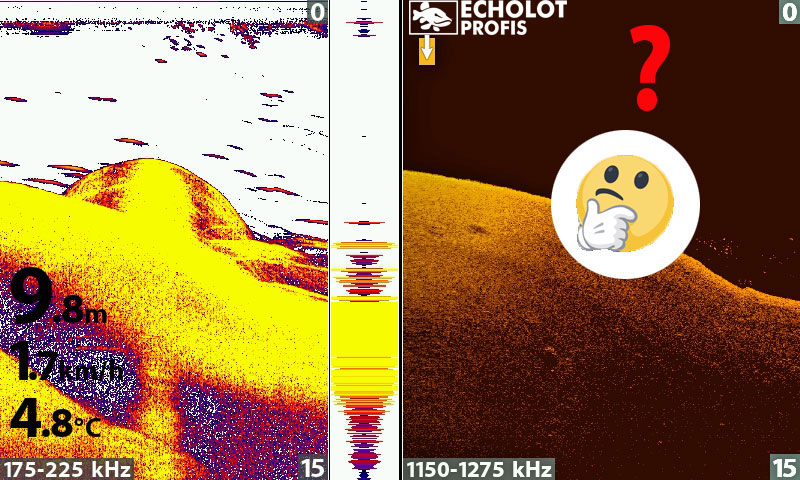 Down Imaging Echolotbild interpretieren
