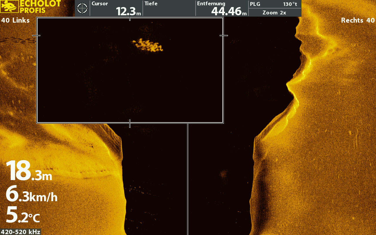 Detailaufnahme eines DownScan Sonarbildes mit Fischen an der Kante