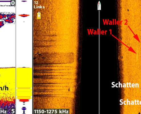 Echolotbilder richtig interpretieren
