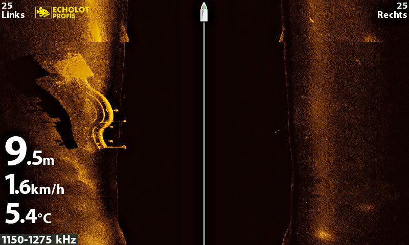 Erklärendes DownScan Sonarbild mit weißen Pfeil-Markierungen