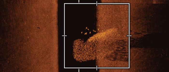 Beispiel für Humminbird MEGA Side Imaging+ mit Fischschwarm
