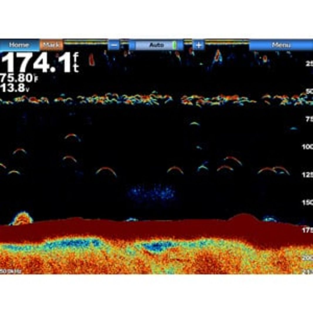 Garmin GSD 24 Echolotmodul, Beispielbild