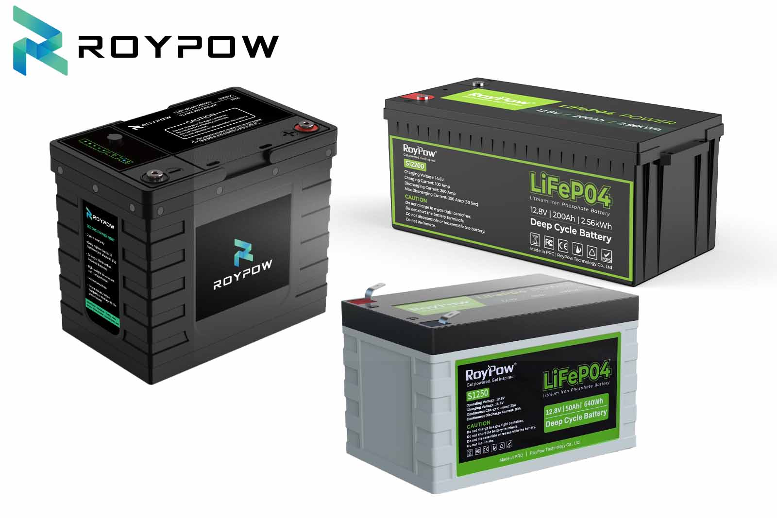 RoyPow LiFePO4 Batterie wasserfest