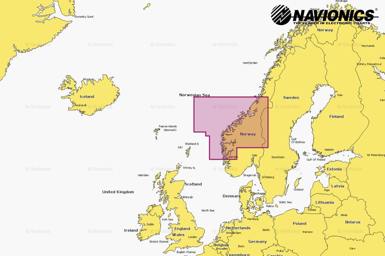 Navionics Platinum Plus Seekarte