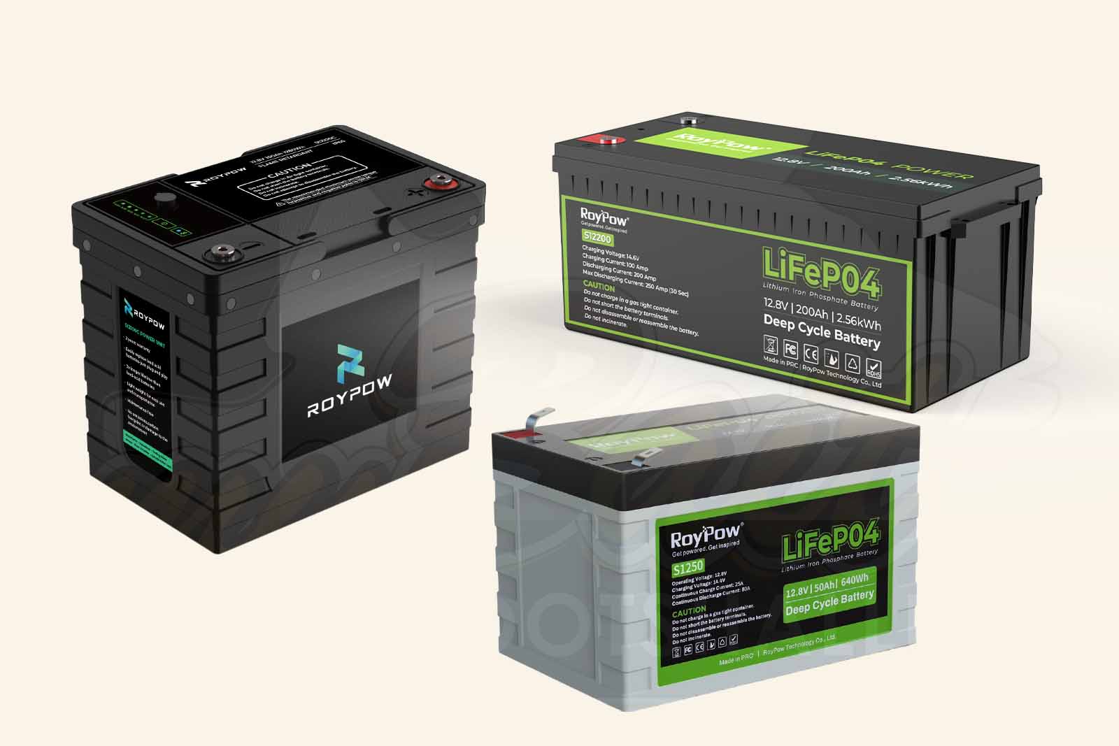 RoyPow LiFePO4 Batterie wasserfest
