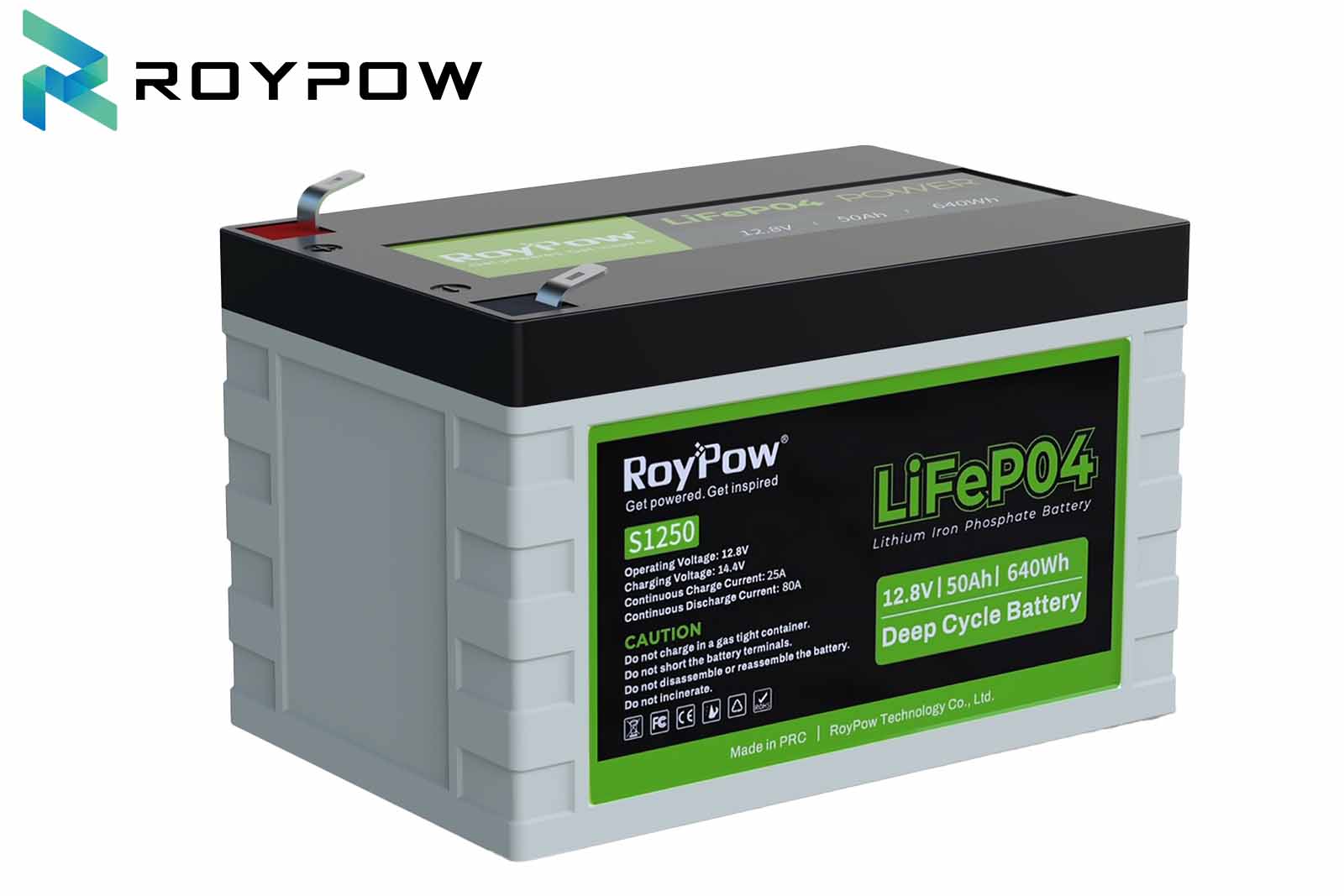 RoyPow LiFePO4 Batterie wasserfest