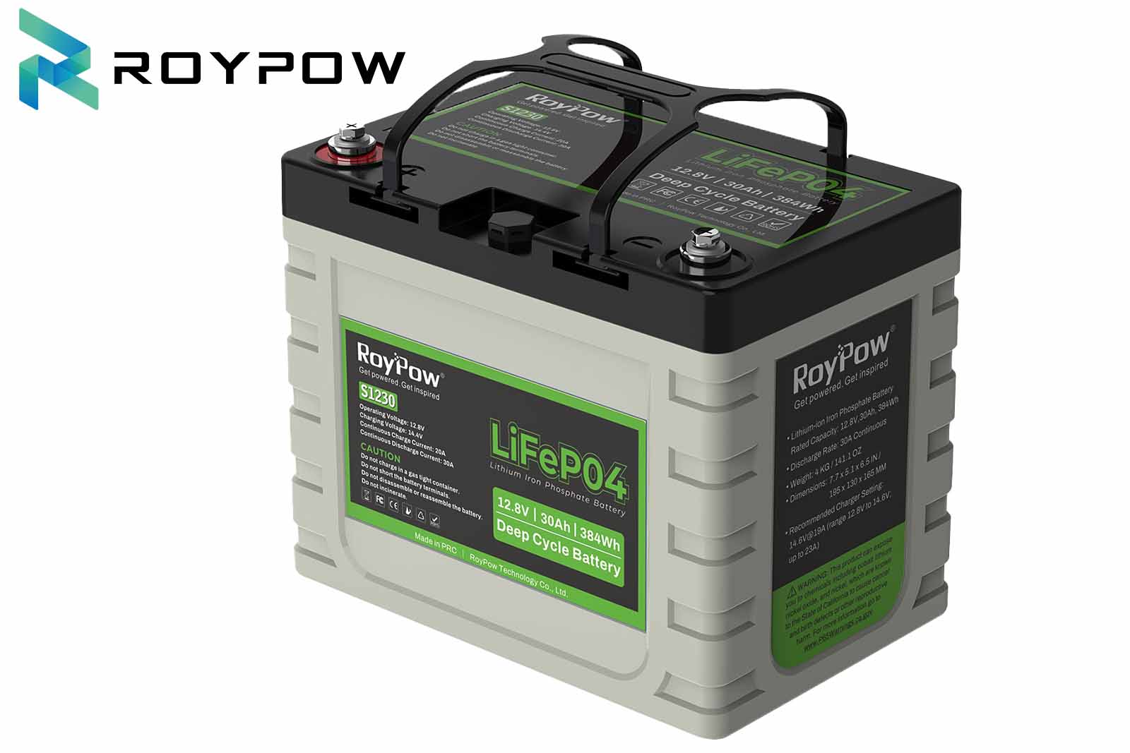 RoyPow LiFePO4 Batterie wasserfest