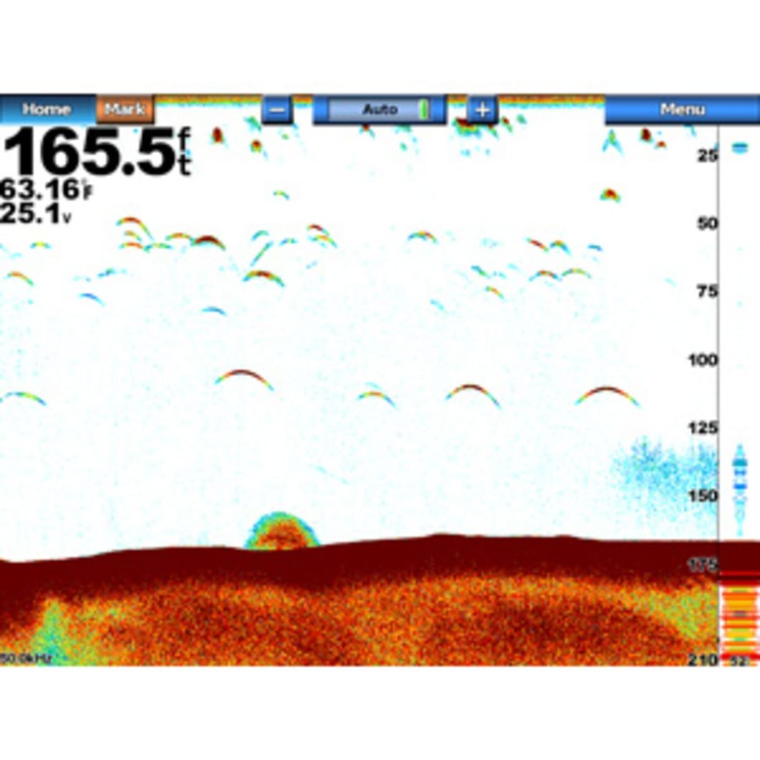 Garmin GSD 24 Echolotmodul, Echolotbild auf dem Kartenplotter