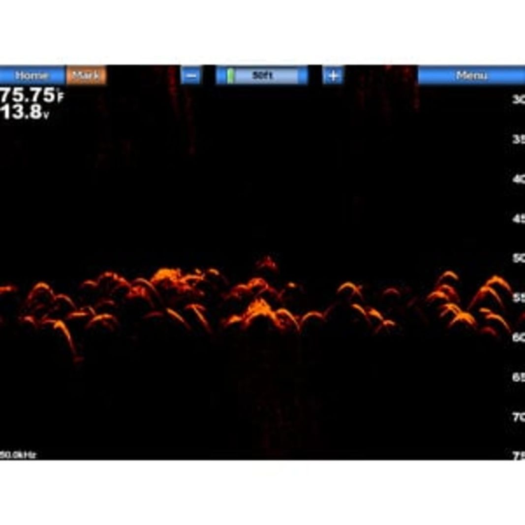 Garmin GSD 24 Echolotmodul, Beispielbild